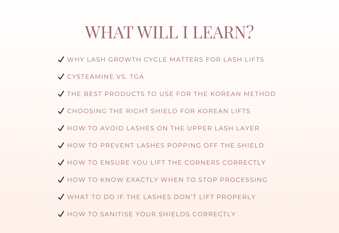 MASTERING THE KOREAN LASH LIFT - ONLINE TRAINING