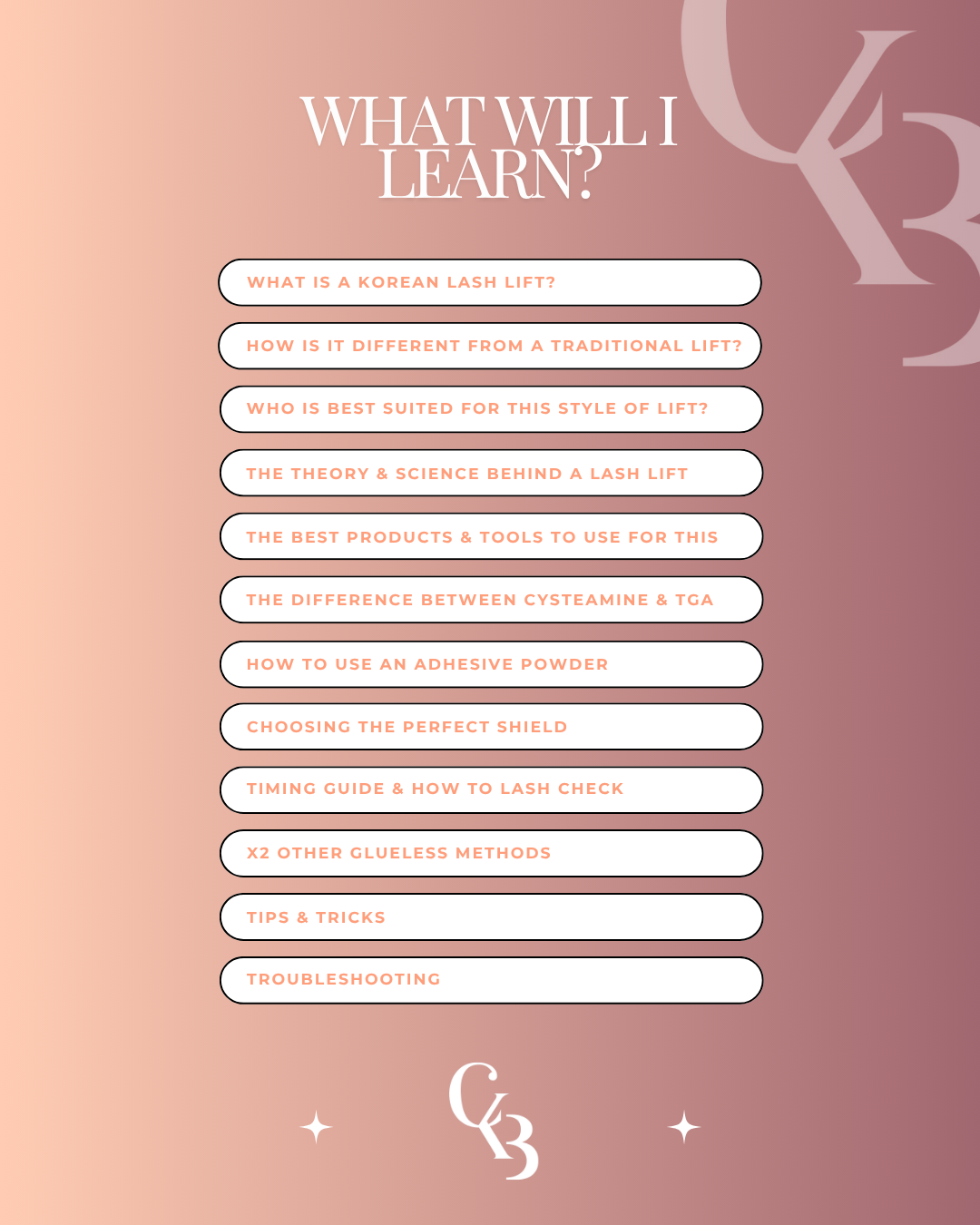 1 DAY IN PERSON KOREAN LASH LIFT COURSE