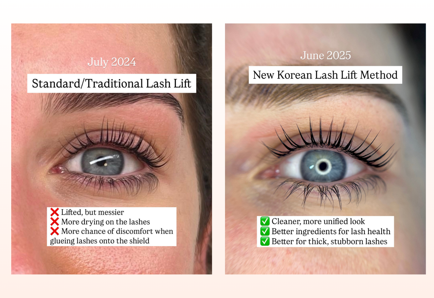 MASTERING THE KOREAN LASH LIFT - ONLINE TRAINING